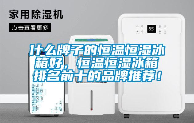什么牌子的恒溫恒濕冰箱好，恒溫恒濕冰箱排名前十的品牌推薦！