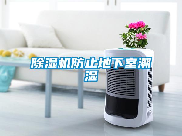 除濕機防止地下室潮濕