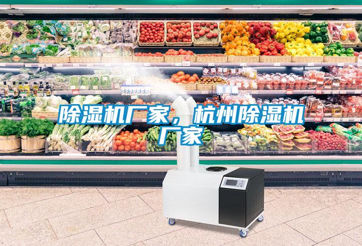 除濕機(jī)廠家，杭州除濕機(jī)廠家