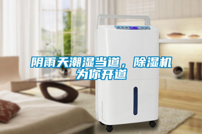 陰雨天潮濕當道，除濕機為你開道
