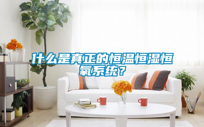 什么是真正的恒溫恒濕恒氧系統？