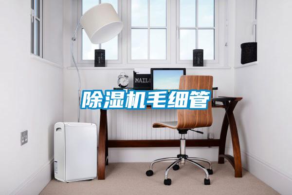 除濕機毛細管