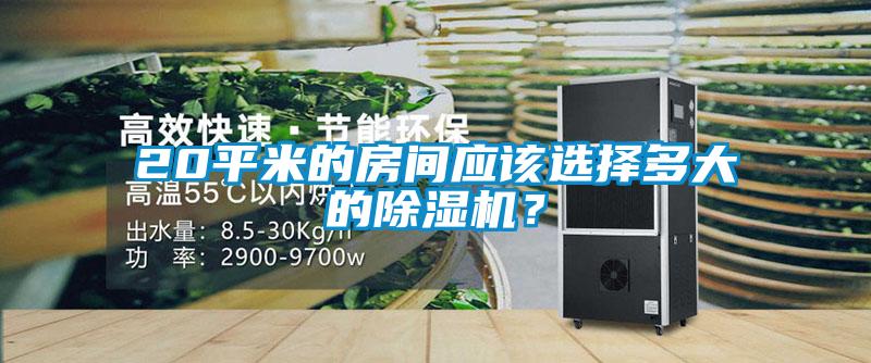 20平米的房間應該選擇多大的除濕機？