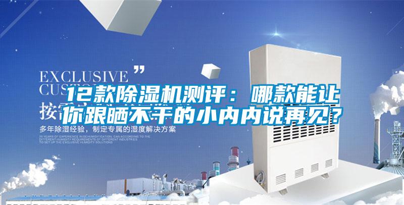 12款除濕機測評：哪款能讓你跟曬不干的小內內說再見？