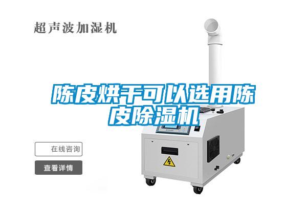 陳皮烘干可以選用陳皮除濕機