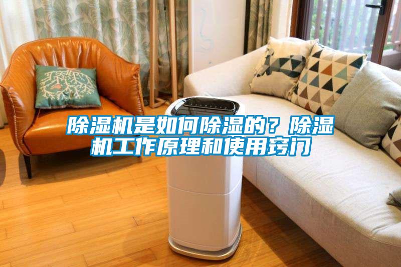 除濕機是如何除濕的？除濕機工作原理和使用竅門