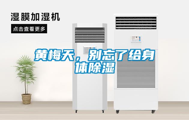 黃梅天，別忘了給身體除濕