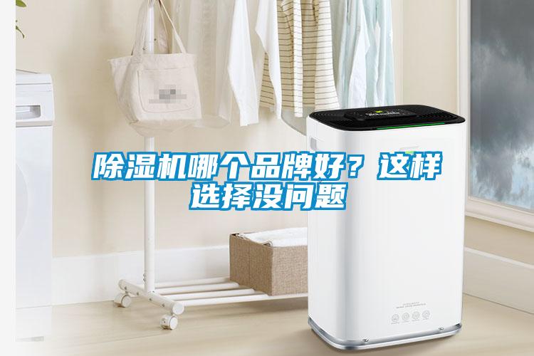 除濕機哪個品牌好？這樣選擇沒問題