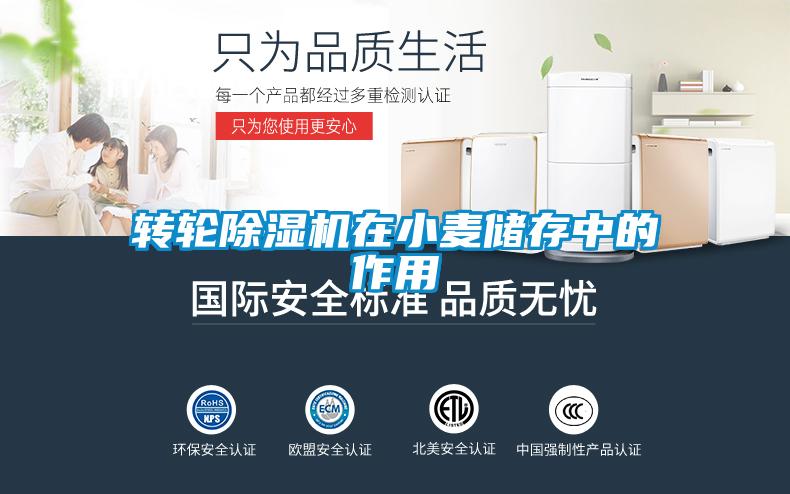 轉(zhuǎn)輪除濕機(jī)在小麥儲(chǔ)存中的作用