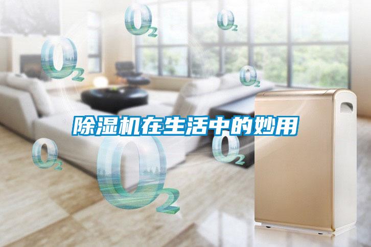 除濕機(jī)在生活中的妙用