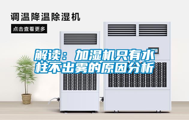 解讀：加濕機(jī)只有水柱不出霧的原因分析