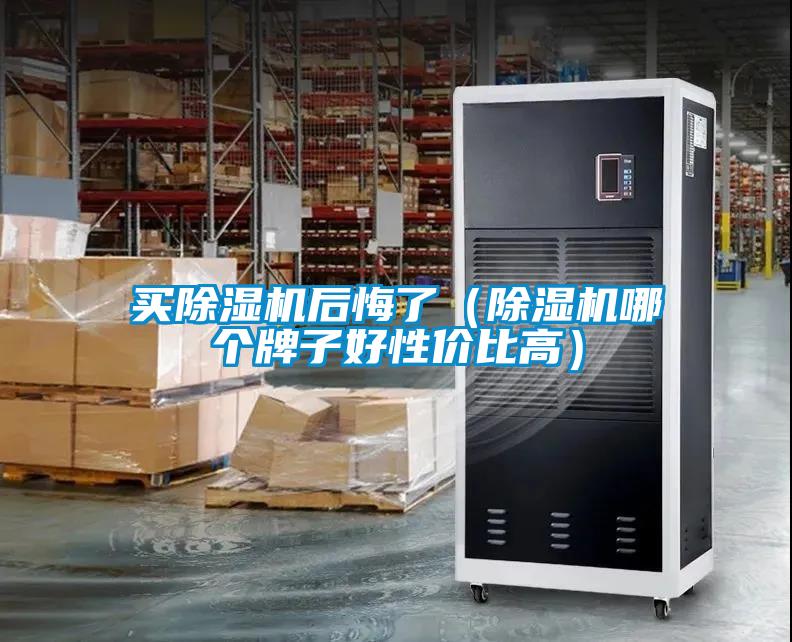 買除濕機(jī)后悔了（除濕機(jī)哪個牌子好性價比高）