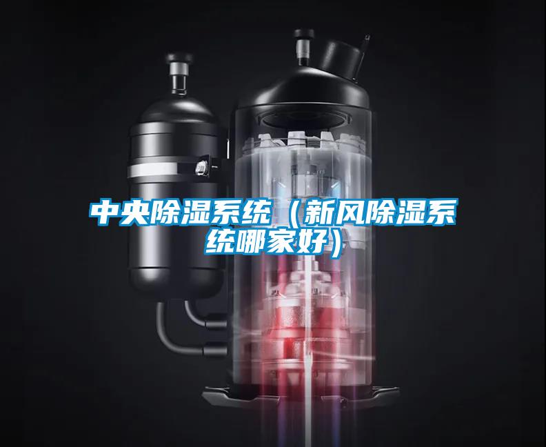 中央除濕系統(tǒng)（新風除濕系統(tǒng)哪家好）