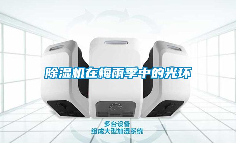 除濕機在梅雨季中的光環