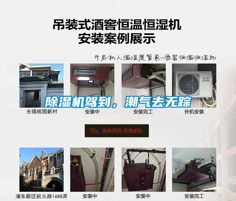 除濕機駕到，潮氣去無蹤