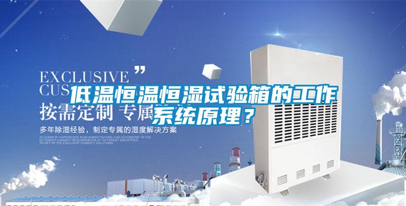 低溫恒溫恒濕試驗(yàn)箱的工作系統(tǒng)原理？