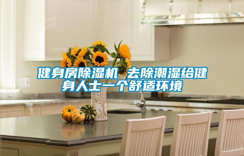 健身房除濕機 去除潮濕給健身人士一個舒適環境