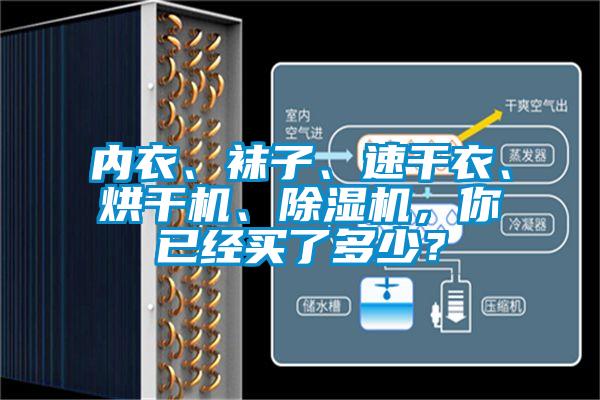 內(nèi)衣、襪子、速干衣、烘干機、除濕機，你已經(jīng)買了多少？
