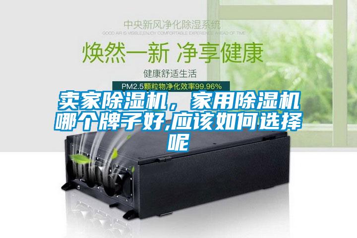 賣家除濕機，家用除濕機哪個牌子好,應該如何選擇呢