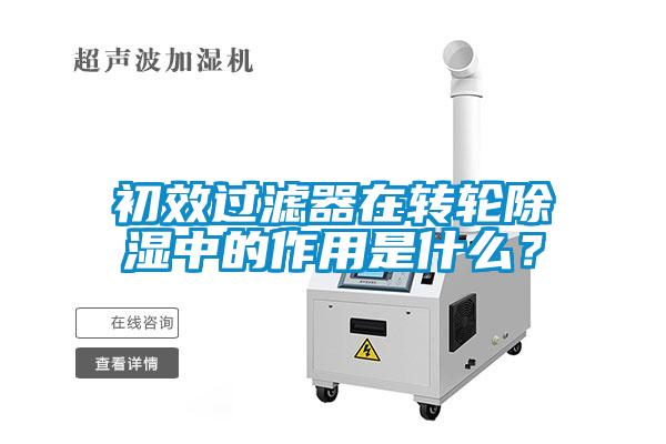 初效過濾器在轉輪除濕中的作用是什么？