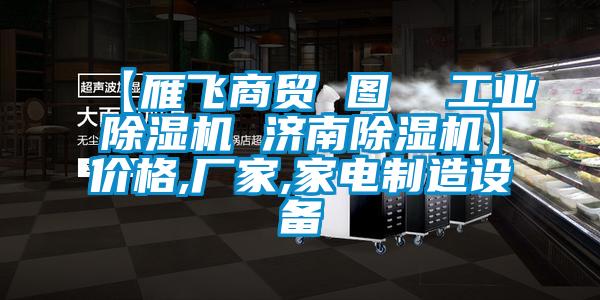 【雁飛商貿(mào) 圖  工業(yè)除濕機(jī) 濟(jì)南除濕機(jī)】?jī)r(jià)格,廠家,家電制造設(shè)備