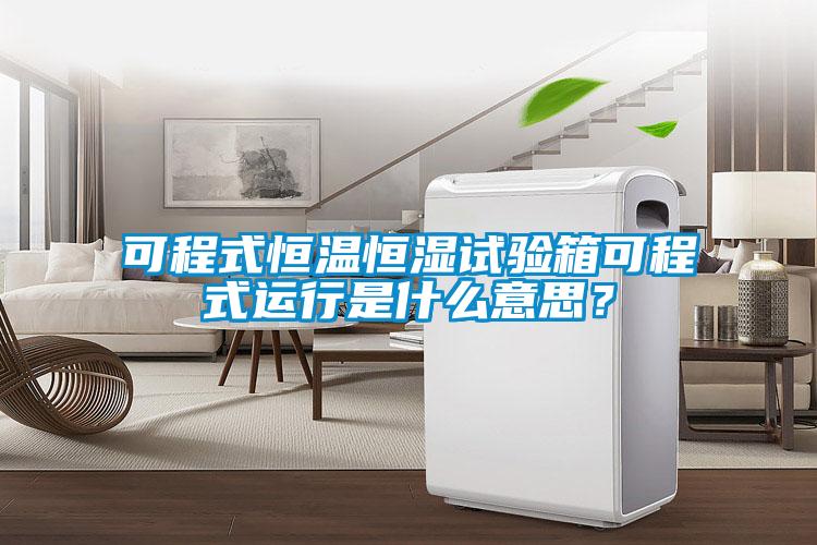 可程式恒溫恒濕試驗(yàn)箱可程式運(yùn)行是什么意思？