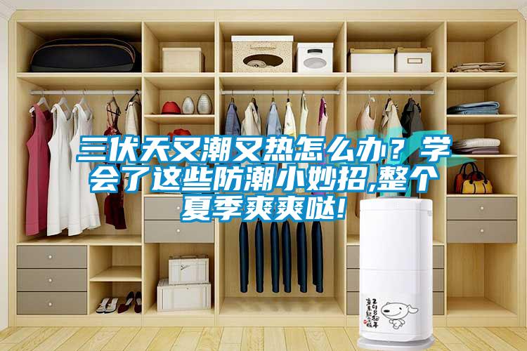 三伏天又潮又熱怎么辦？學(xué)會了這些防潮小妙招,整個夏季爽爽噠!