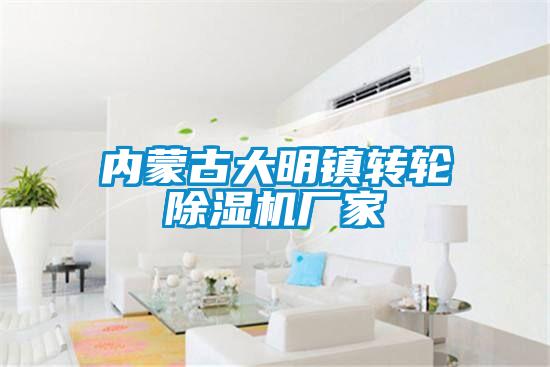 內蒙古大明鎮轉輪除濕機廠家