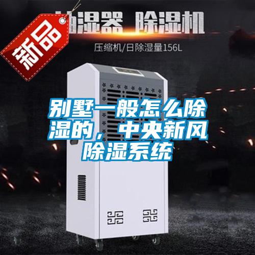 別墅一般怎么除濕的，中央新風除濕系統