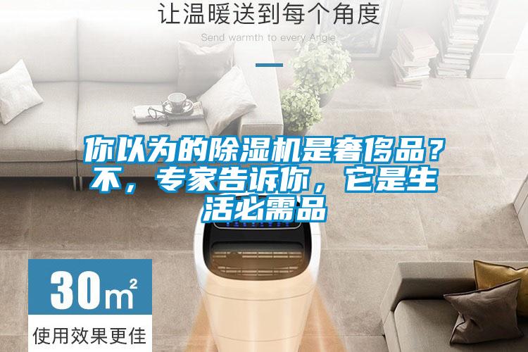 你以為的除濕機是奢侈品？不，專家告訴你，它是生活必需品