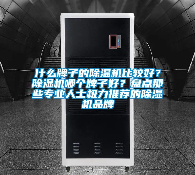 什么牌子的除濕機比較好？除濕機哪個牌子好？盤點那些專業(yè)人士極力推薦的除濕機品牌