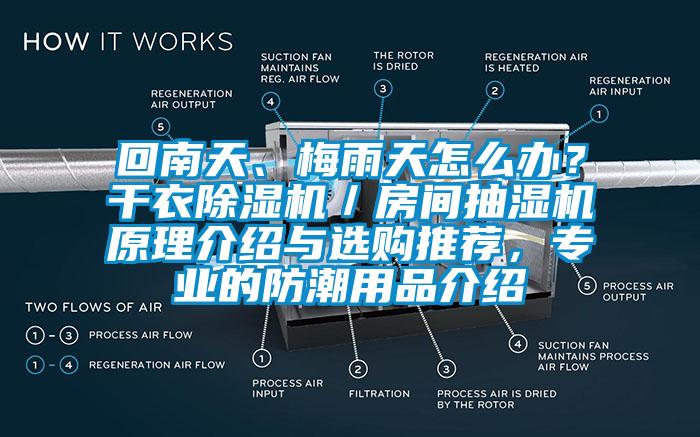 回南天、梅雨天怎么辦？干衣除濕機(jī)／房間抽濕機(jī)原理介紹與選購(gòu)?fù)扑]，專(zhuān)業(yè)的防潮用品介紹