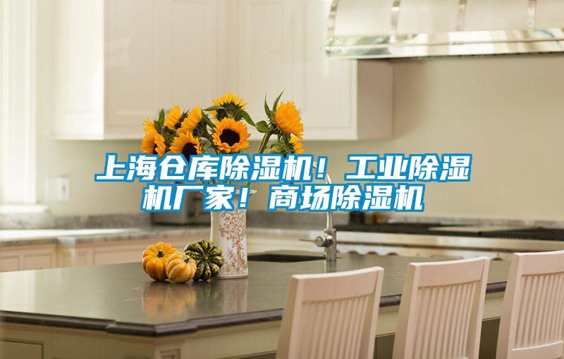 上海倉庫除濕機！工業除濕機廠家！商場除濕機