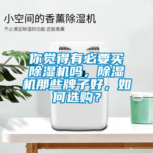 你覺得有必要買除濕機嗎，除濕機那些牌子好，如何選購？