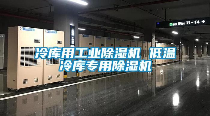 冷庫用工業除濕機 低溫冷庫專用除濕機