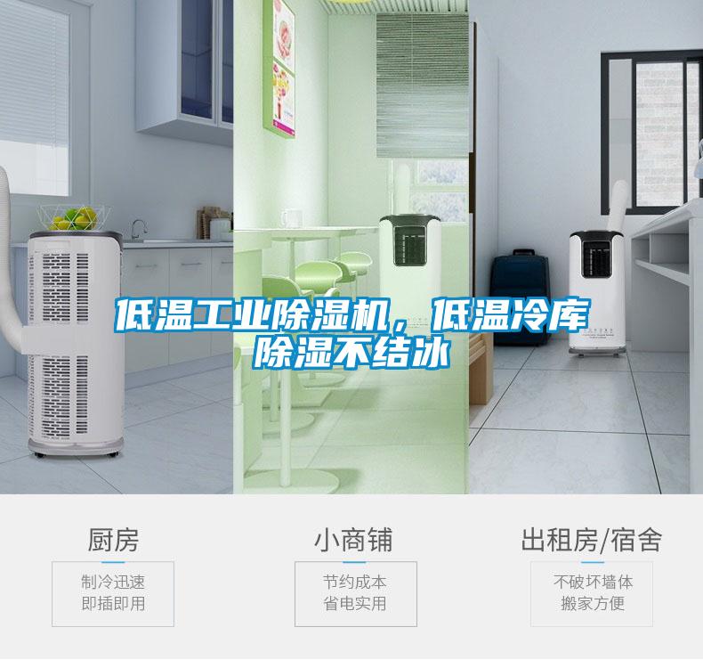 低溫工業除濕機，低溫冷庫除濕不結冰