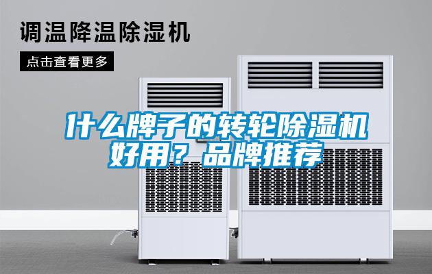 什么牌子的轉輪除濕機好用？品牌推薦