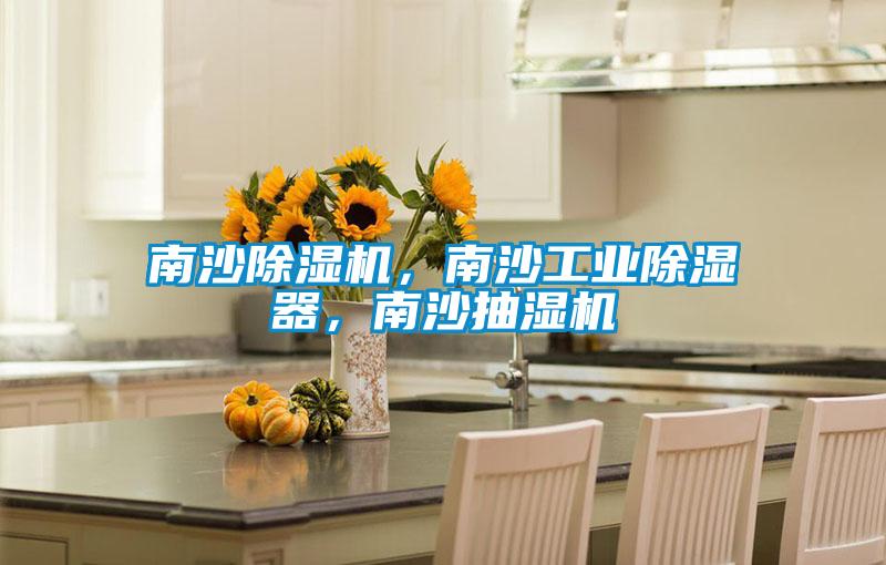 南沙除濕機，南沙工業除濕器，南沙抽濕機