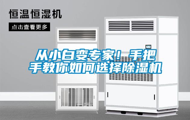 從小白變專家！手把手教你如何選擇除濕機