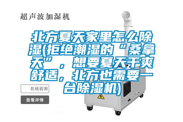北方夏天家里怎么除濕(拒絕潮濕的“桑拿天”，想要夏天干爽舒適，北方也需要一臺除濕機)