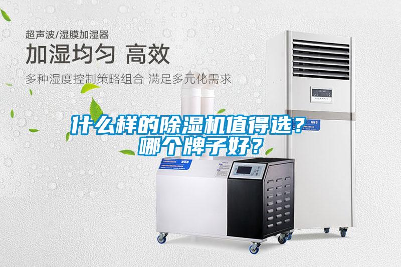 什么樣的除濕機(jī)值得選？ 哪個牌子好？