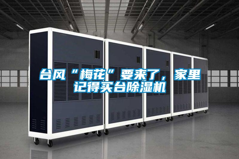 臺風“梅花”要來了，家里記得買臺除濕機