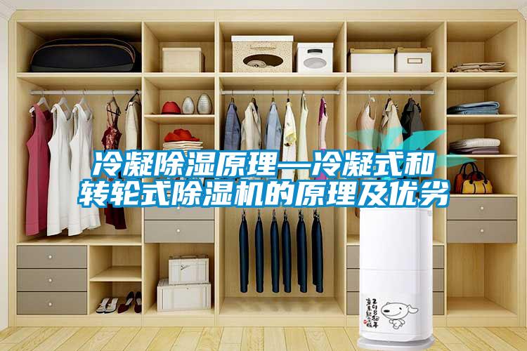 冷凝除濕原理—冷凝式和轉輪式除濕機的原理及優劣