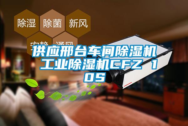 供應(yīng)邢臺(tái)車間除濕機(jī) 工業(yè)除濕機(jī)CFZ 10S