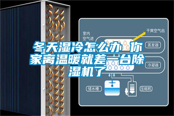 冬天濕冷怎么辦 你家離溫暖就差一臺(tái)除濕機(jī)了
