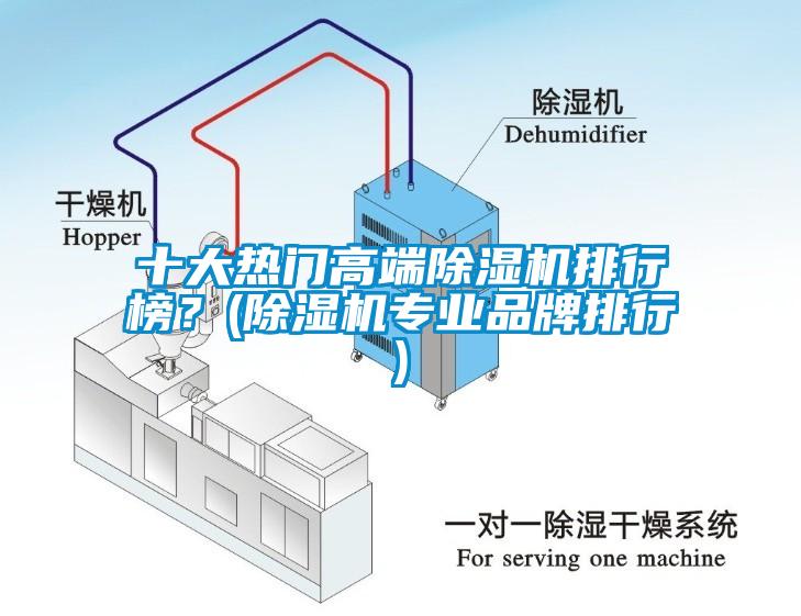 十大熱門高端除濕機排行榜？(除濕機專業品牌排行)