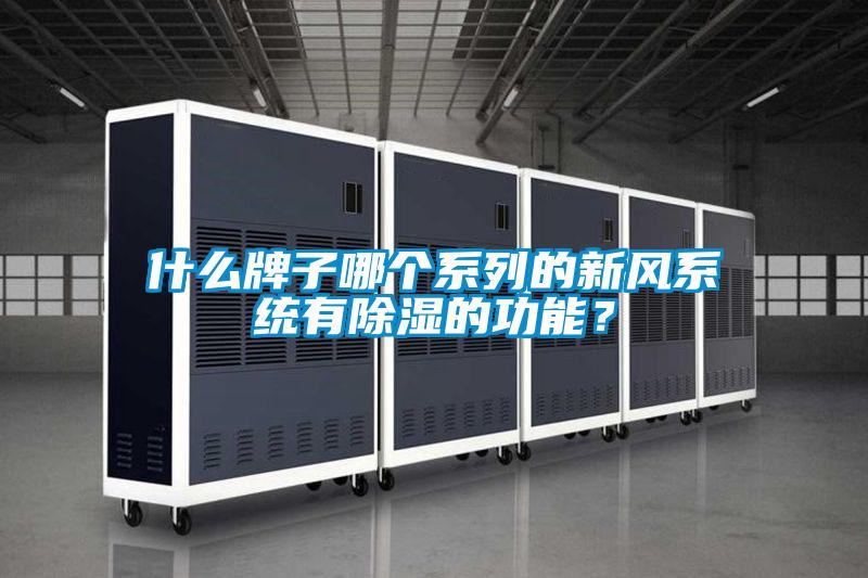 什么牌子哪個(gè)系列的新風(fēng)系統(tǒng)有除濕的功能？