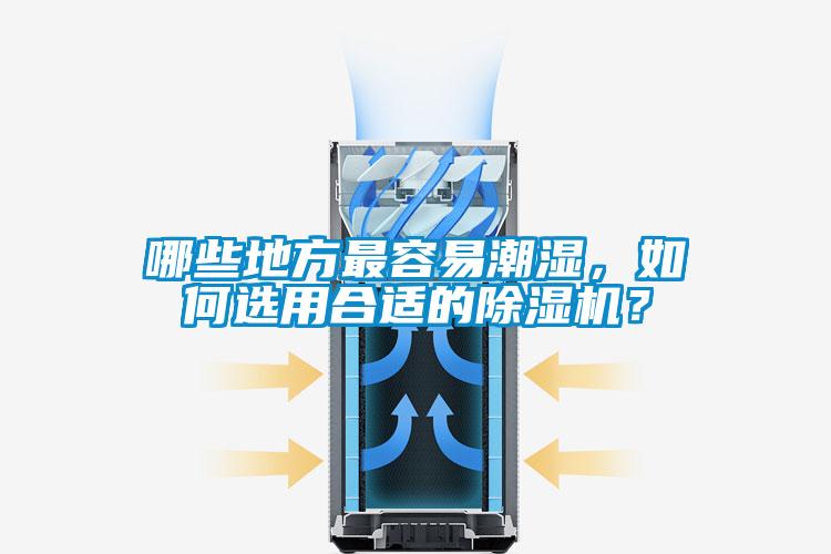 哪些地方最容易潮濕，如何選用合適的除濕機？