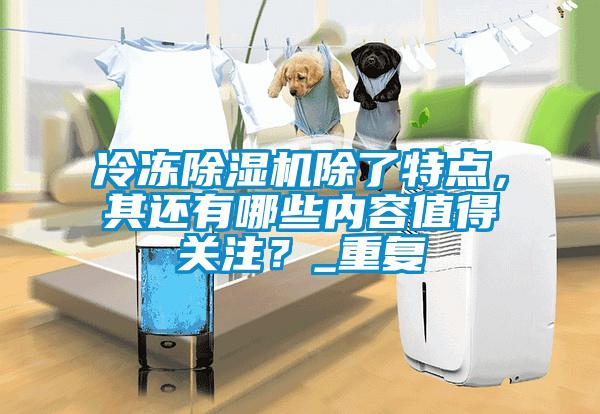 冷凍除濕機除了特點，其還有哪些內容值得關注？_重復