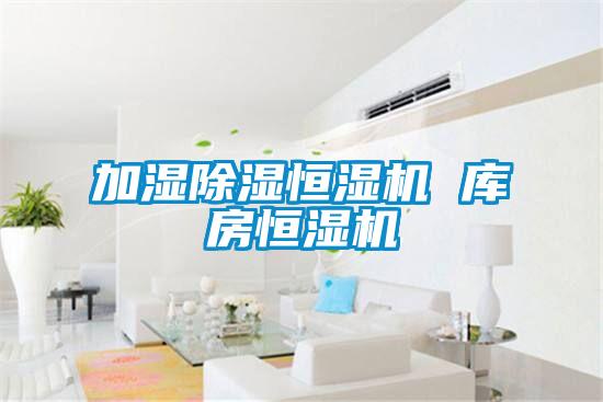 加濕除濕恒濕機(jī) 庫房恒濕機(jī)